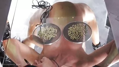 કેન્સર ગુદા વાહિયાત અને ગધેડામાં દેશી ગુજરાતી પોર્ન એક મોટા સભ્ય દ્વારા