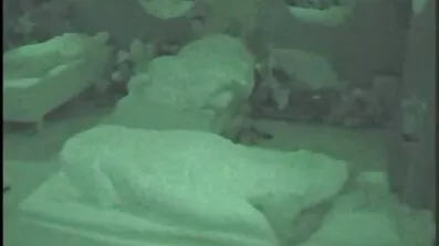 સ્નો વ્હાઇટ સ્લટ નવા મોજામાં એક સુંદર ઉગ્ર ઉત્તેજનાનો અતિરેક મેળવે દેશી ગુજરાતી બીએફ છે