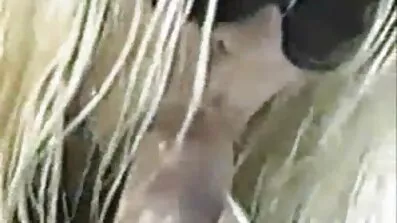 તાજા અને ટૂંકા ચુંબન સેક્સ વિડિઓ ગુજરાતી સેક્સ વિડિઓ માંથી કન્યાઓ માં પટ્ટાવાળી મોજાં